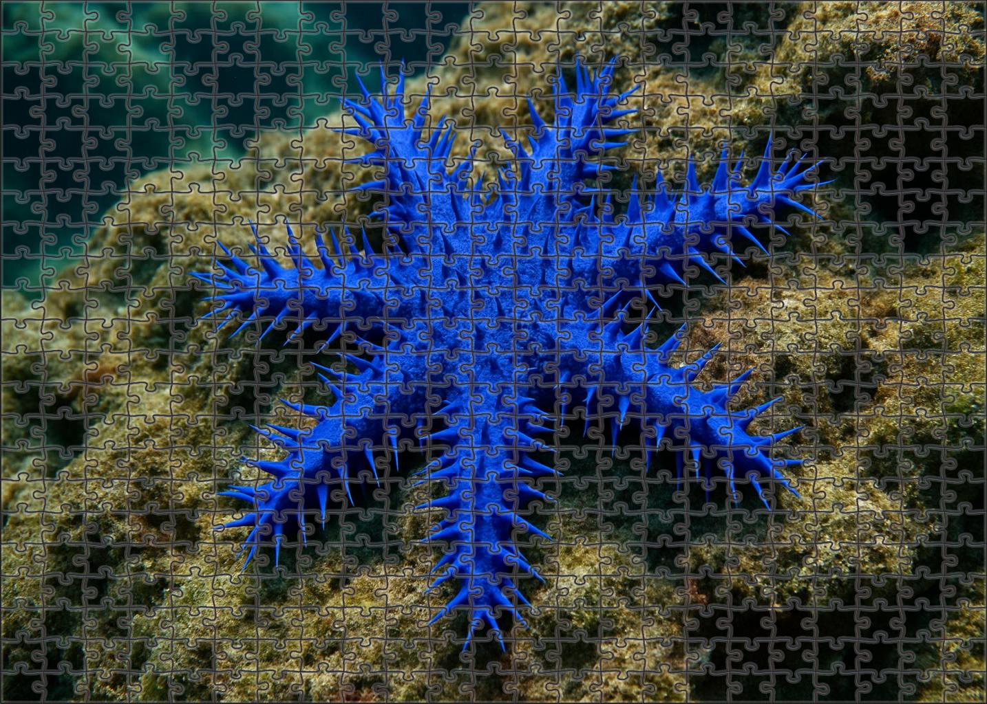 Sapphire Thorn Star Radiant Echinoderm With Vibrant Spiked Rays Mini Puzzle