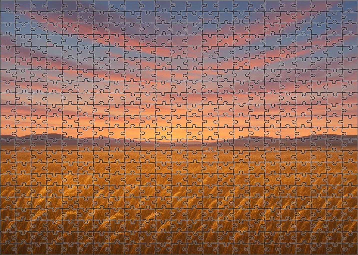 Amber Steppe Expanse Large Format Puzzle
