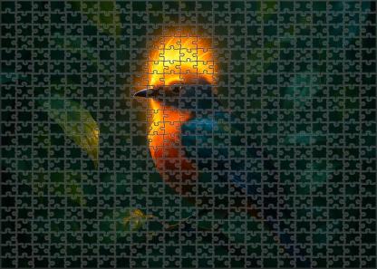 Glowing Hornbill Vibrantly Plumed Bird With Luminescent Crest And Social Foraging Habits Puzzle Collection