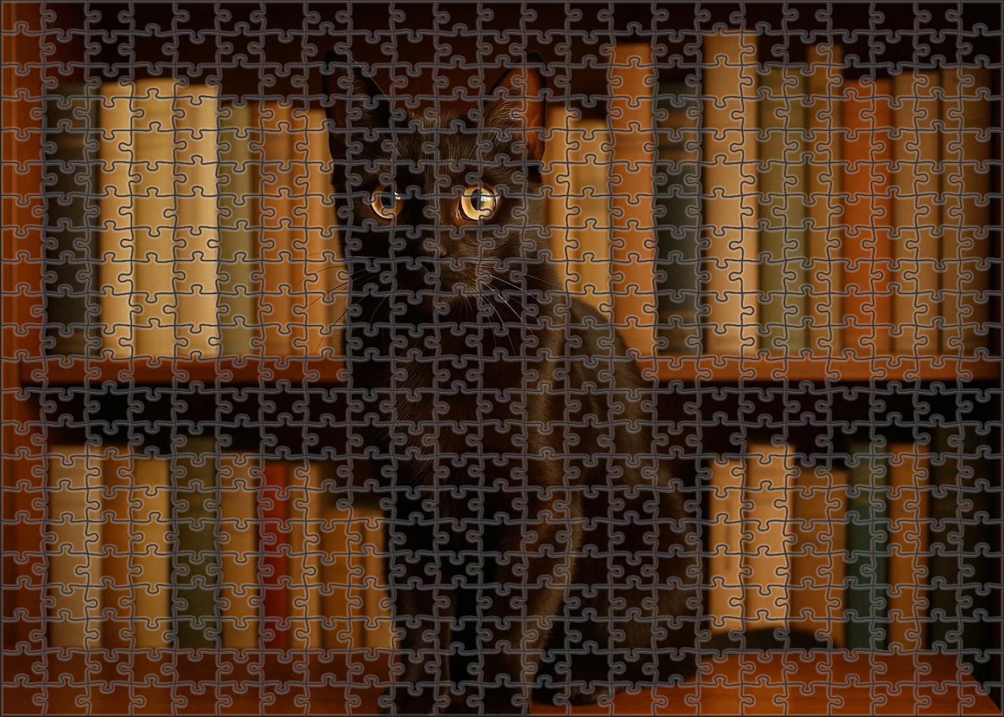 Sable Whisper Sleek Dark Brown With Playful Intellect Family Puzzles