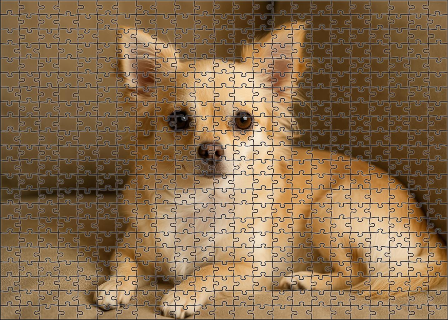 Velvet Paws Large Format Puzzle