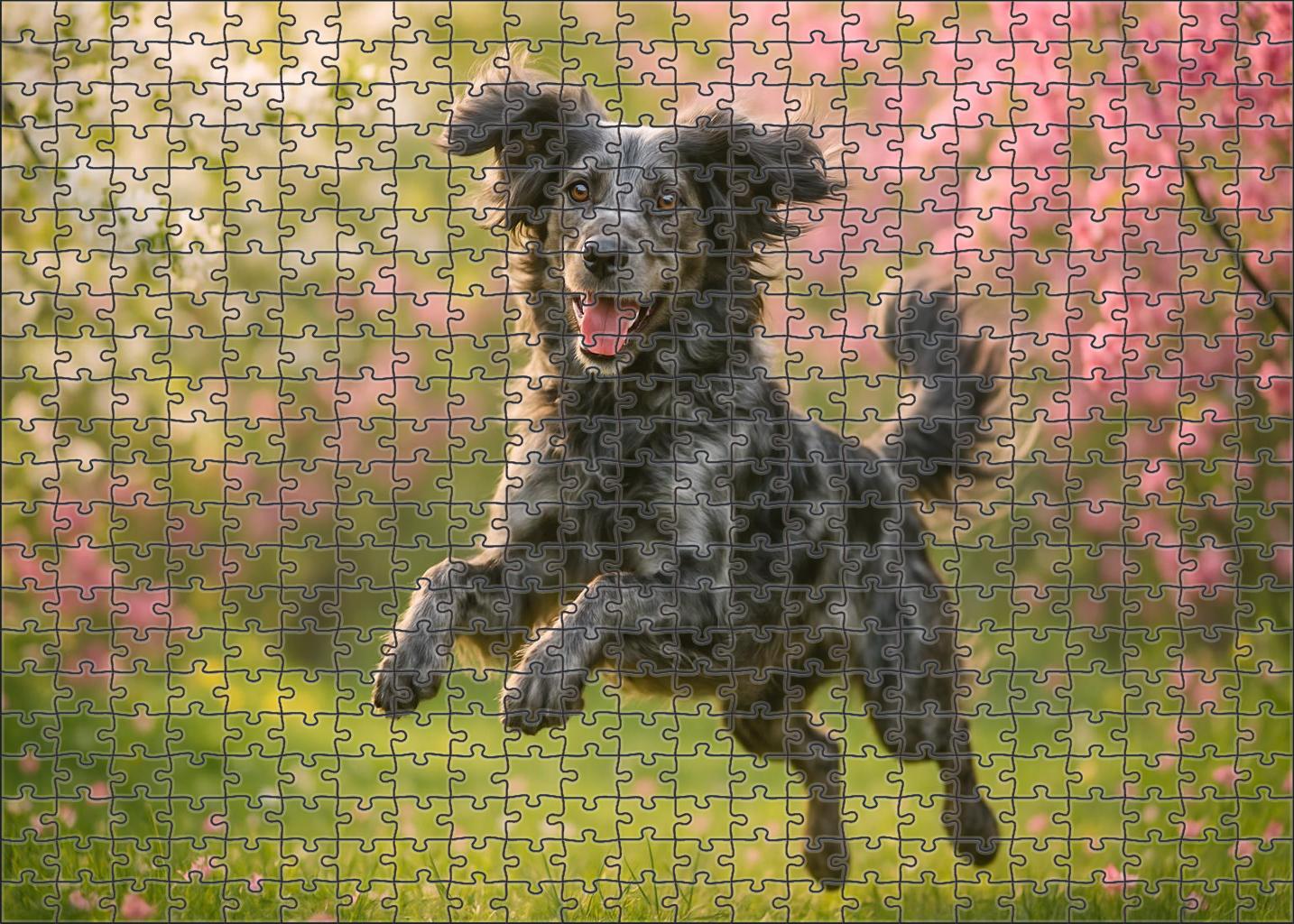 Silver Dapple Puzzle For Kids