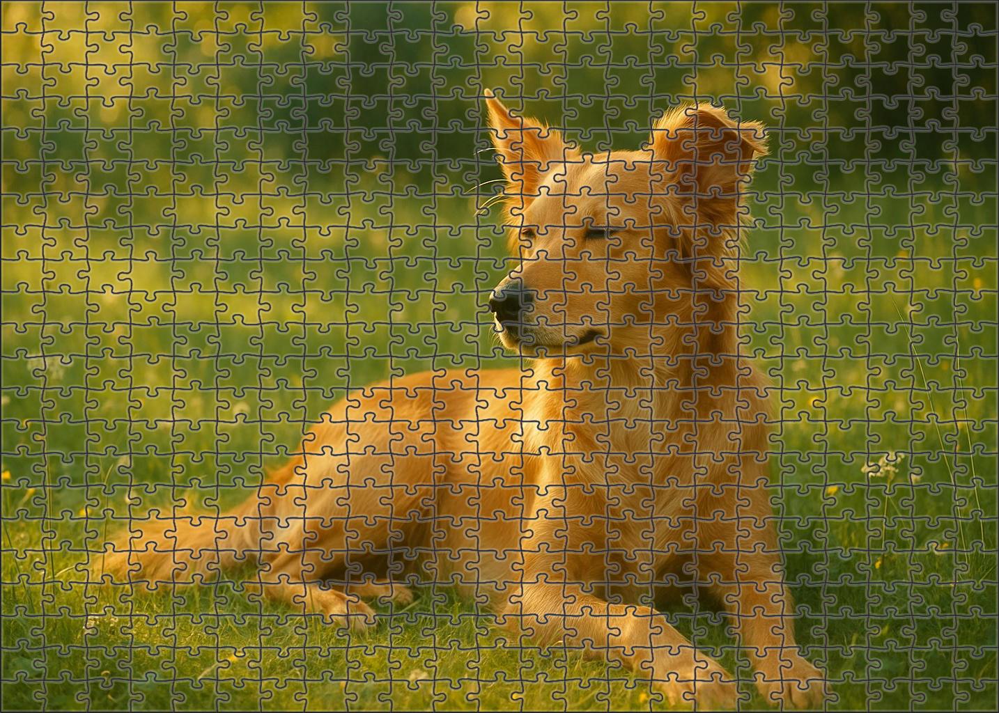 Fawn Breeze Puzzle Challenge