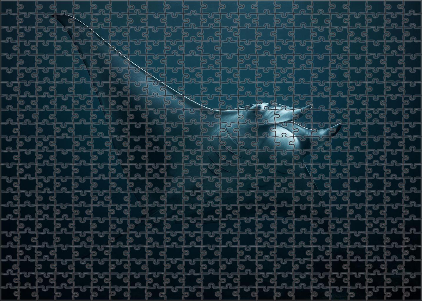 Moonlit Manta 20 Piece Puzzle