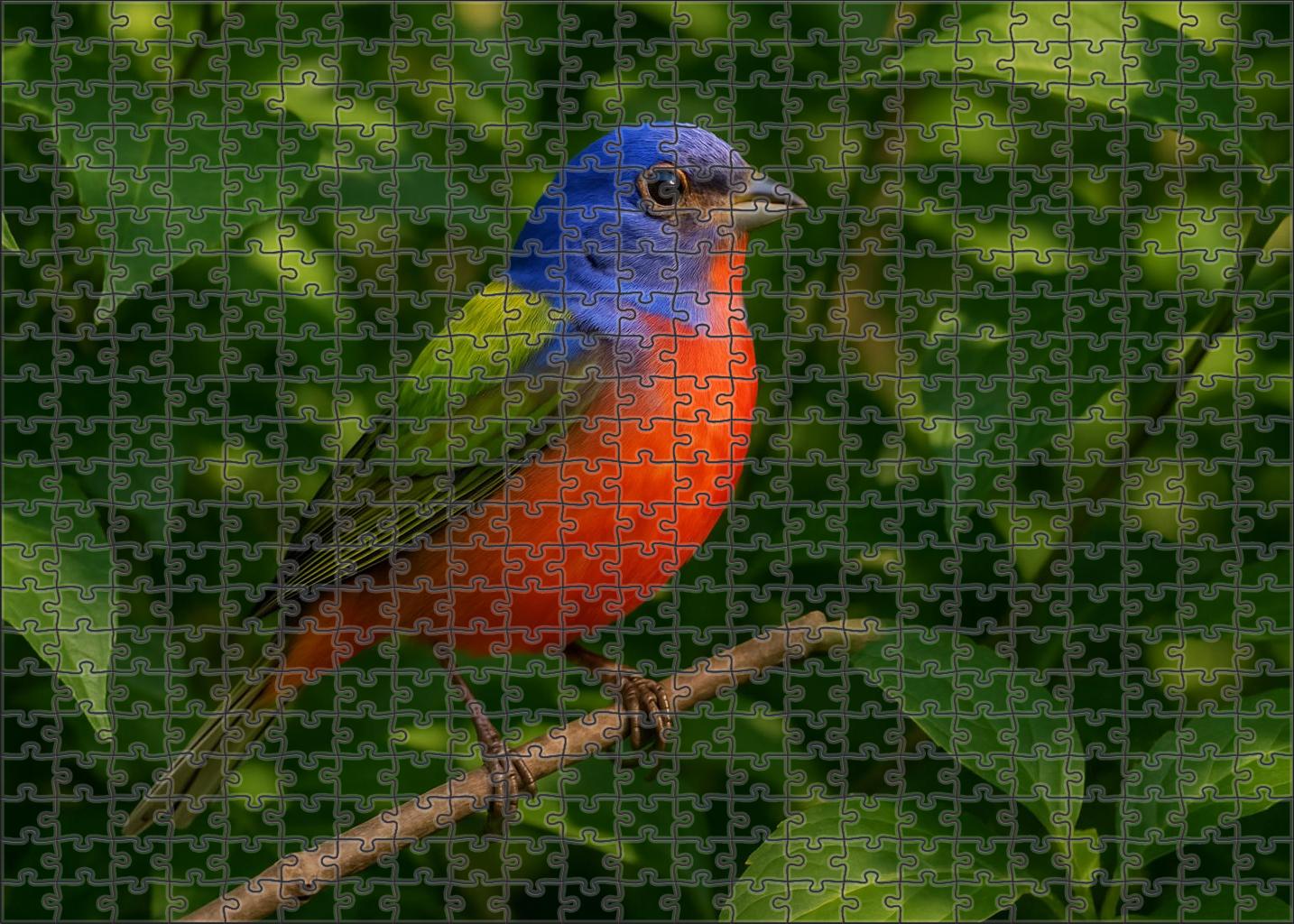 Painted Bunting Living Rainbow Custom Jigsaw Puzzle
