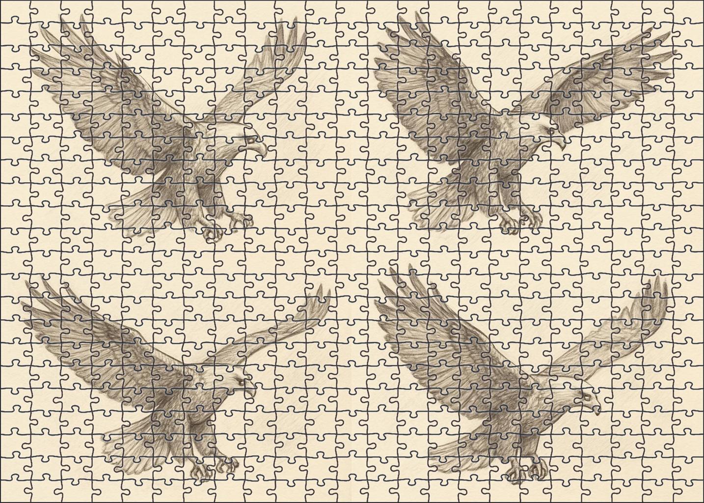 Narrative Wildlife Moment Sequential Pencil Sketches Of Soaring Eagle Family Puzzles