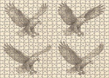 Narrative Wildlife Moment Sequential Pencil Sketches Of Soaring Eagle Family Puzzles