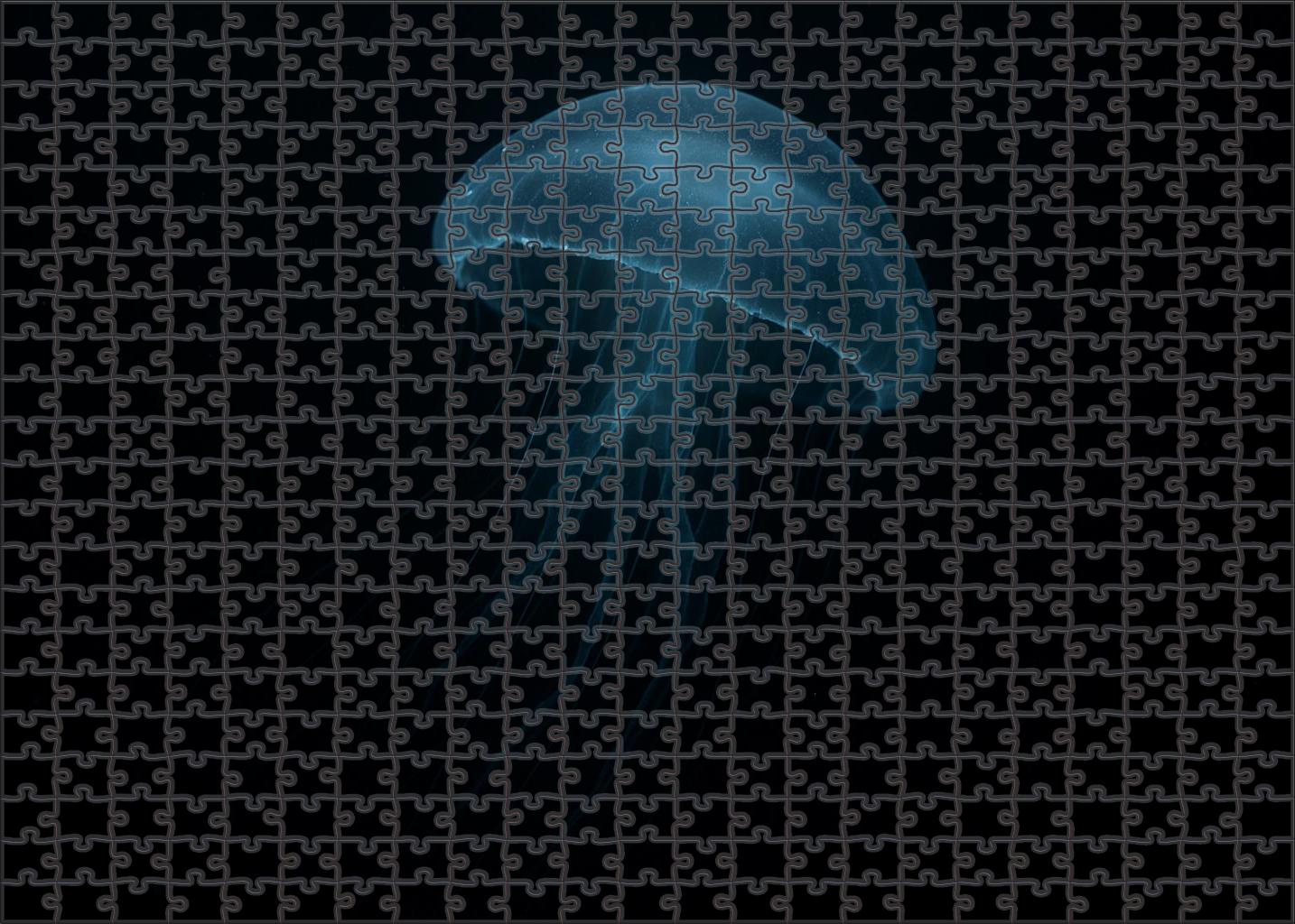 Phantom Jelly Transparent Deep-water Drifter With Pulsing Bioluminescence Puzzle Collection