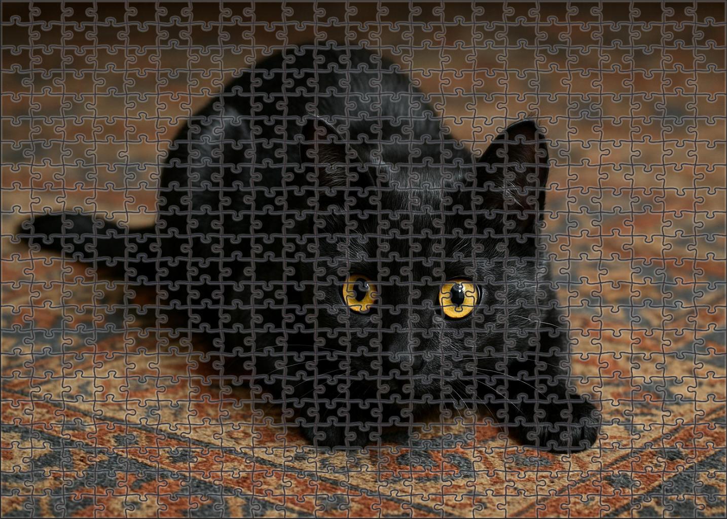 Shadow Flicker 50 Piece Puzzle