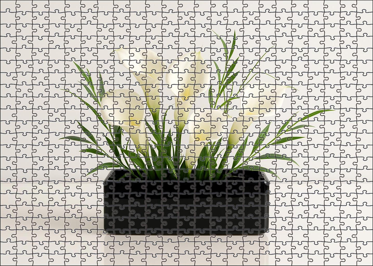 Minimalist Winter Whites Sleek White Blooms In Glossy Black Container Family Puzzles