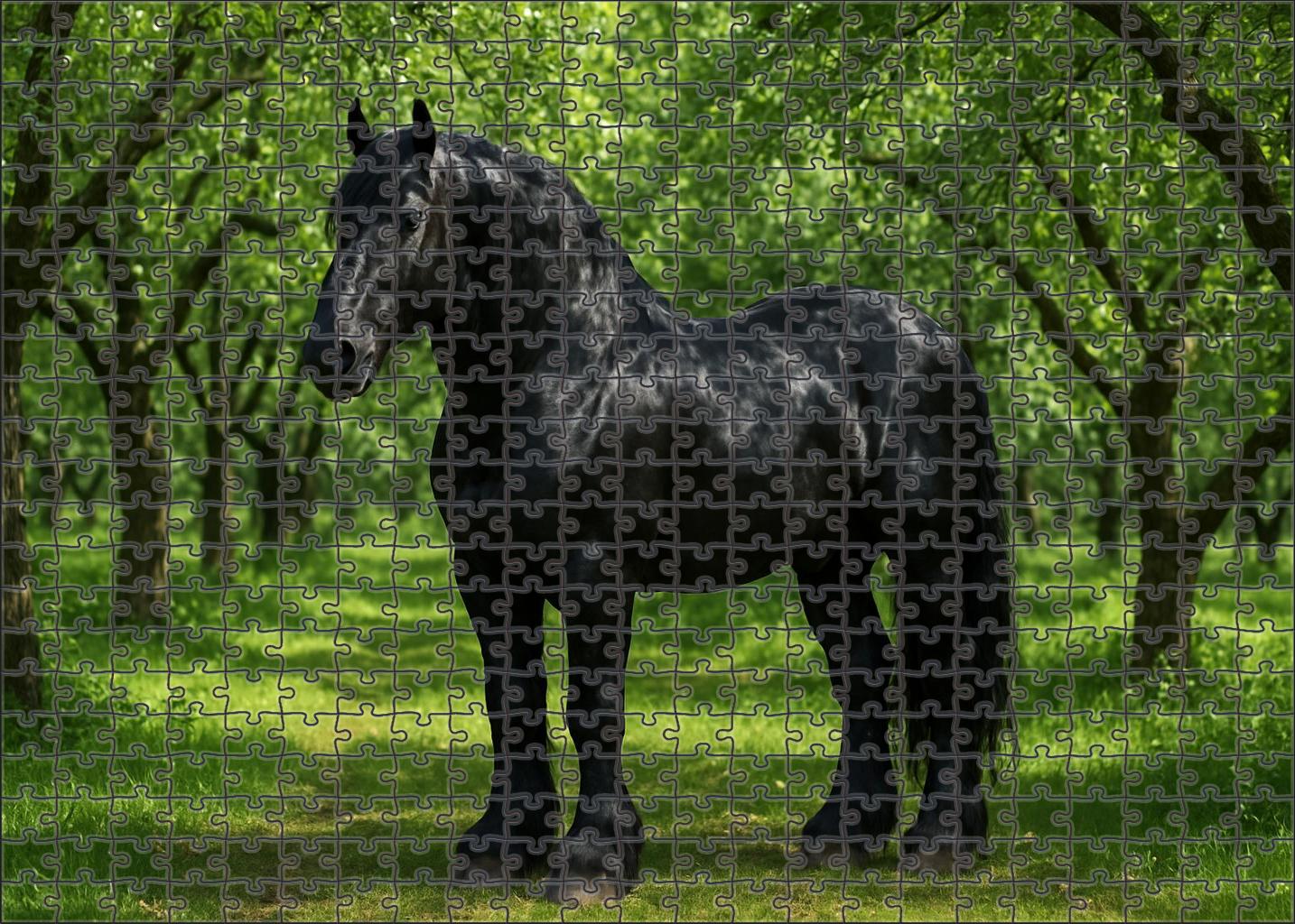 Ebony Shadow Percheron 1000 Piece Puzzle