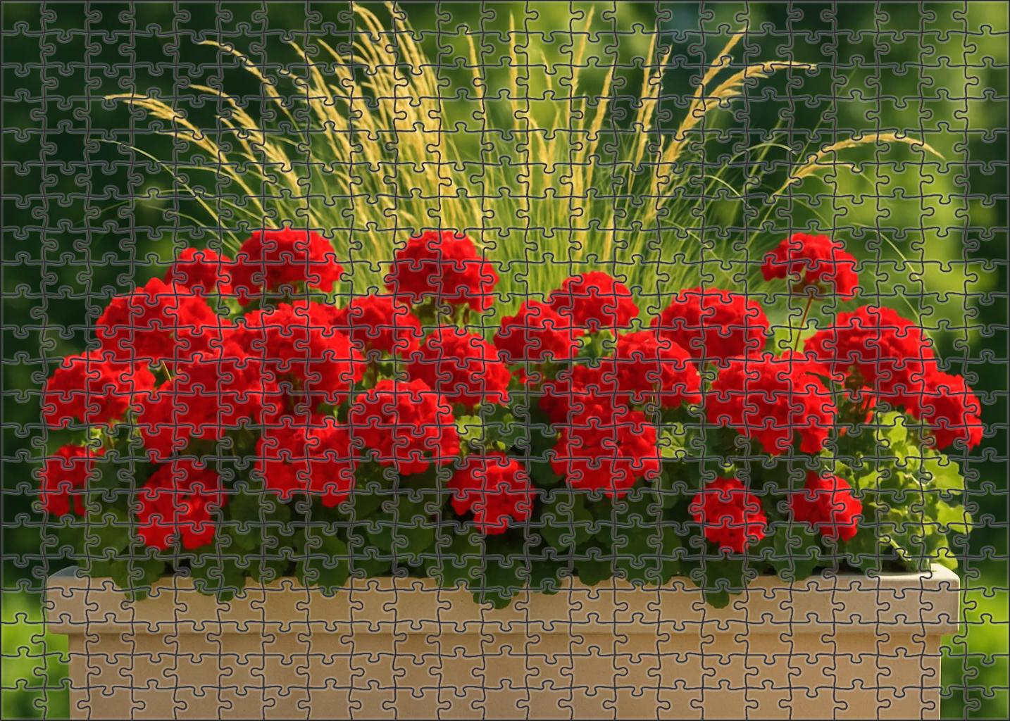 Bold Crimson Edge Planter Family Puzzles