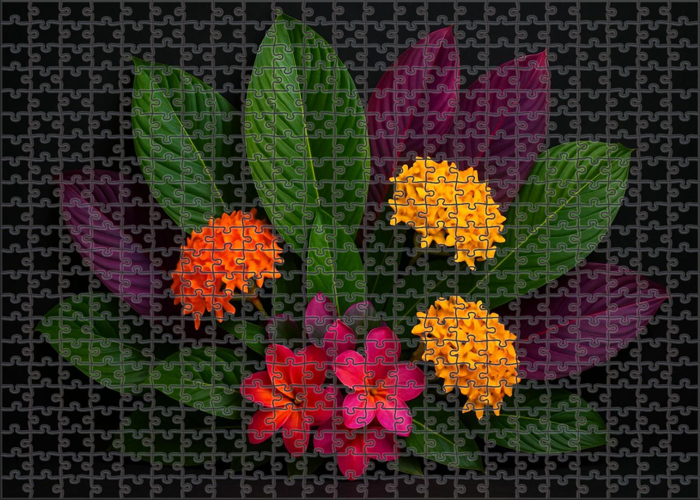 Tropical Foliage Explosion Family Puzzles