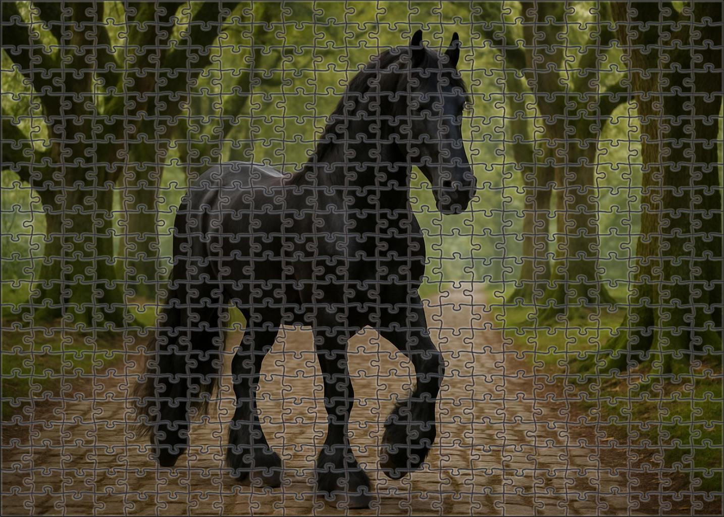 Ebony Monarch Friesian Stallion Challenging Puzzles