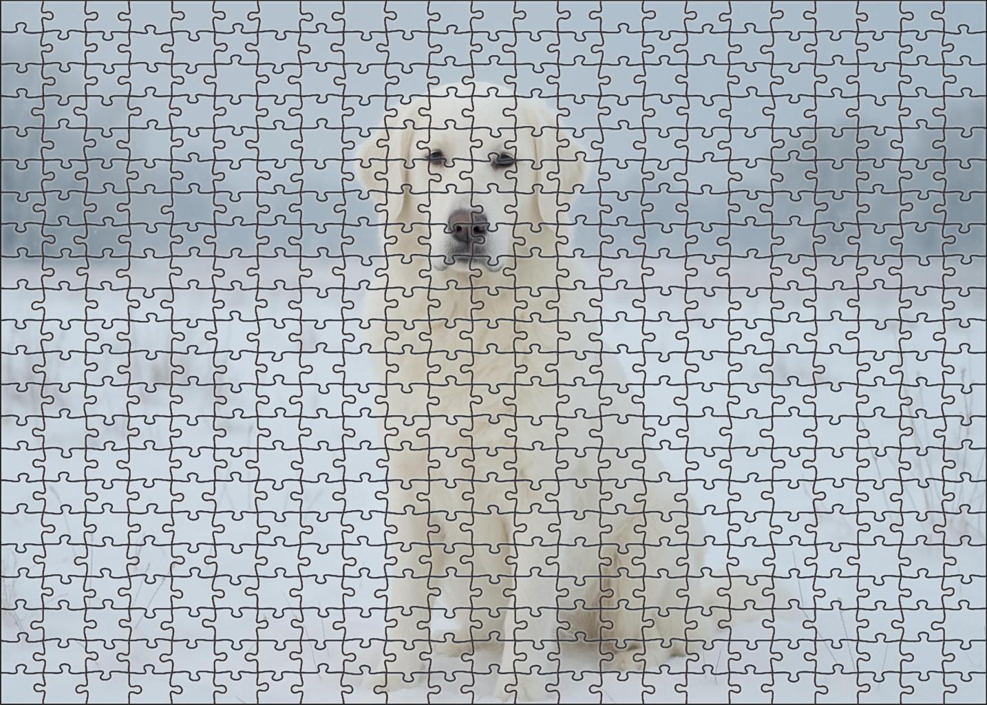 Pearl Frost Puzzle Challenge