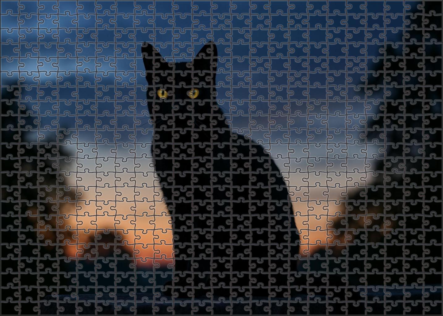 Shadow Whisper Midnight Coat With Mysterious Poise Mini Puzzle