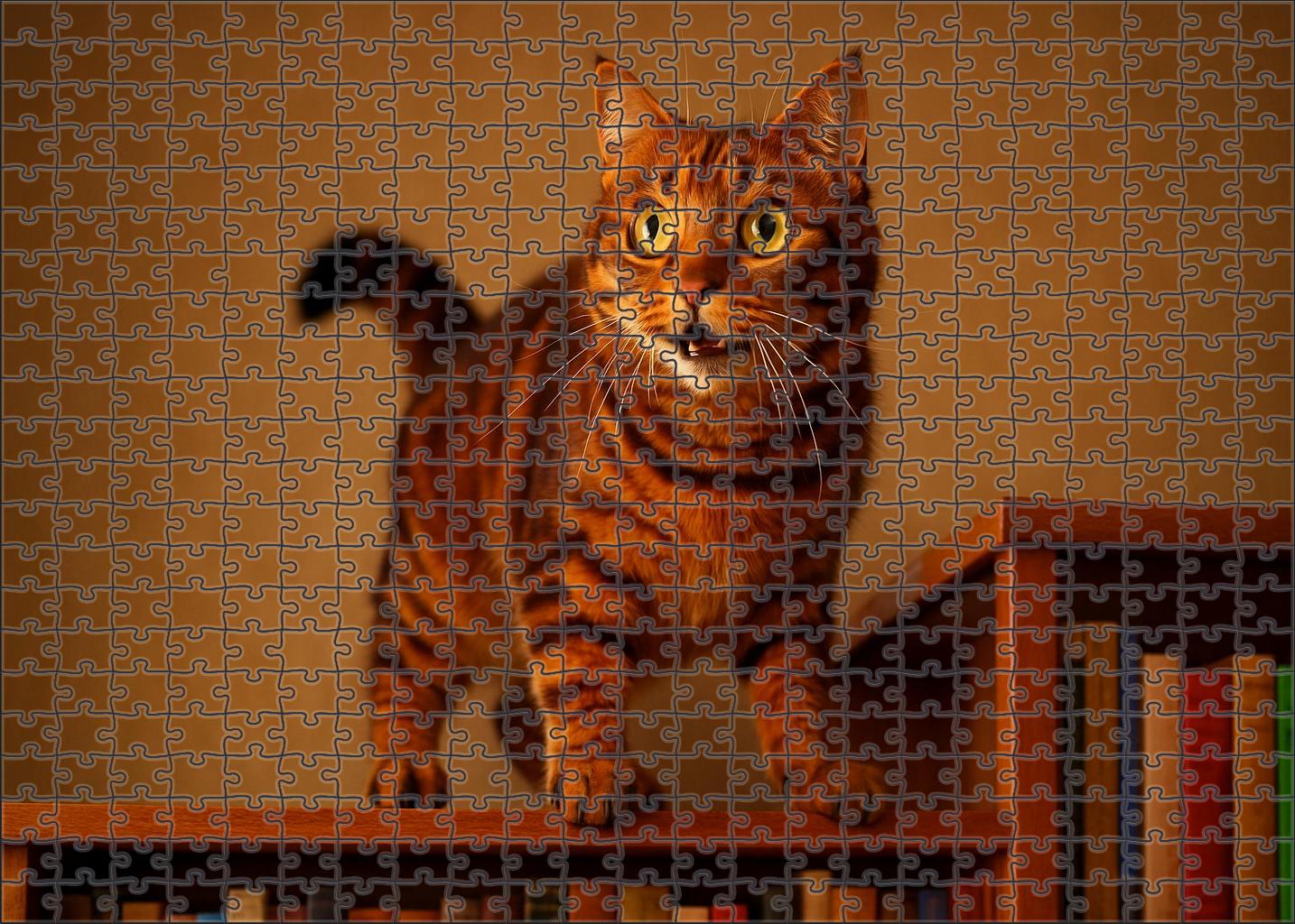 Autumn Gleam Warm Brown Tabby With Spirited Energy Mini Puzzle
