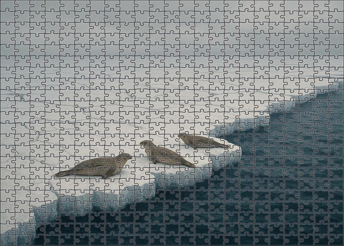 Frozen Ice Shelf Margin 1000 Piece Puzzle