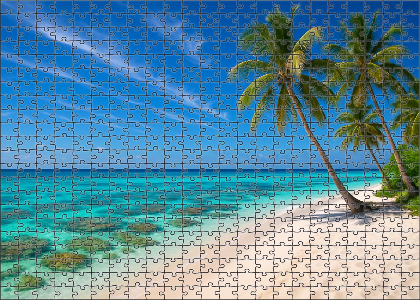 Coral Bay Hideaway 100 Piece Puzzle