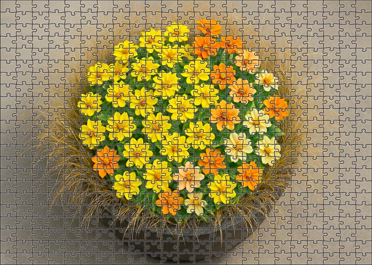Golden Sunburst Planter 100 Piece Puzzle