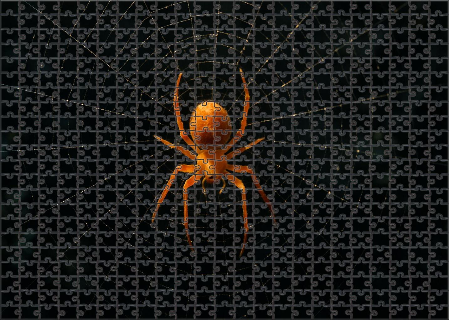 Amber Venomspinner Nocturnal Web Architect 50 Piece Puzzle