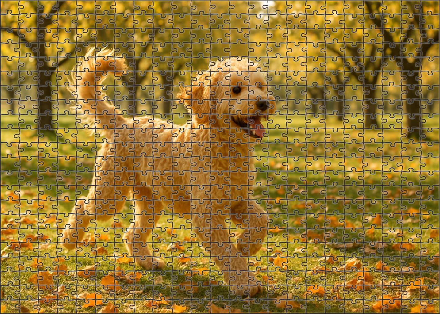 Golden Swirl Puzzle For Kids