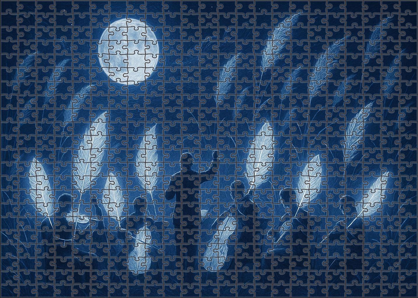 The Midnight Feather Orchestra Puzzle Collection