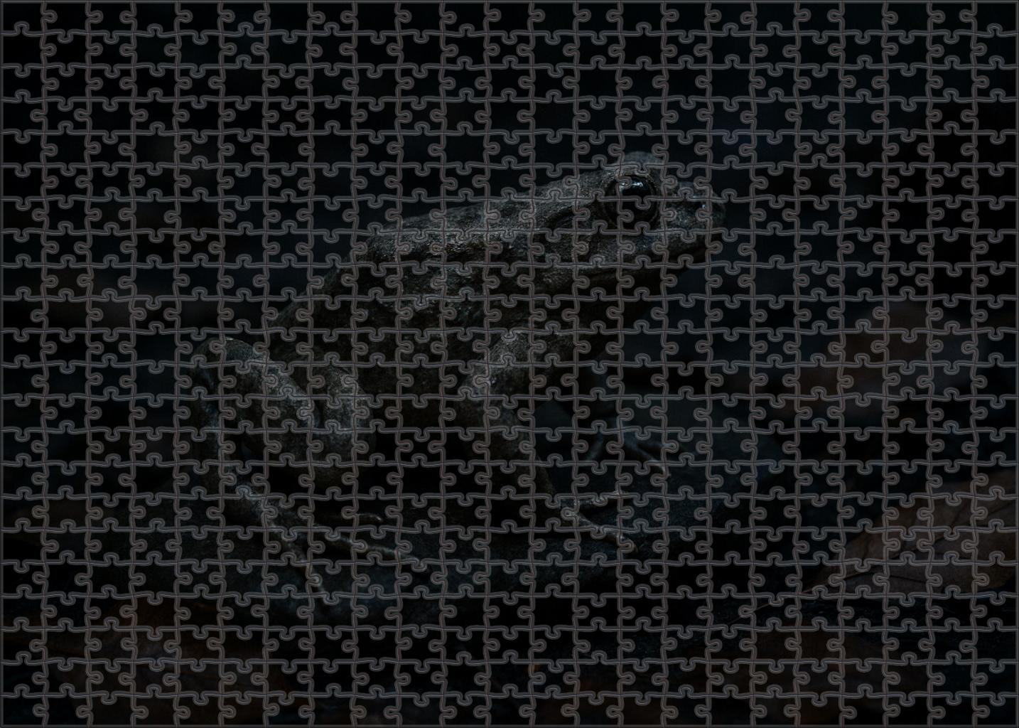 Duskshadow Hopper Elusive Amphibian With Camouflaged Skin And Powerful Legs Puzzle Fun