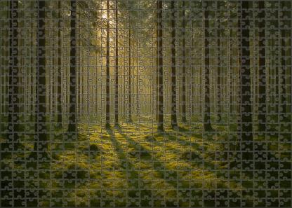 Whispering Pine Shadowlands Challenging Puzzles