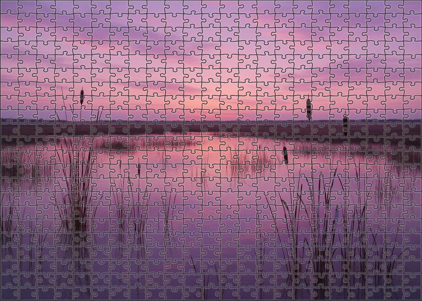 Serene Marshland Dusk Puzzle Collection
