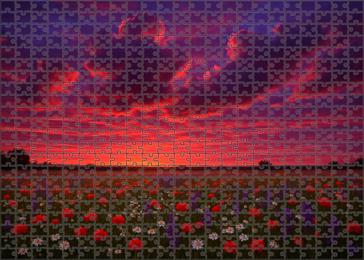 Crimson Ember Meadows Challenging Puzzles