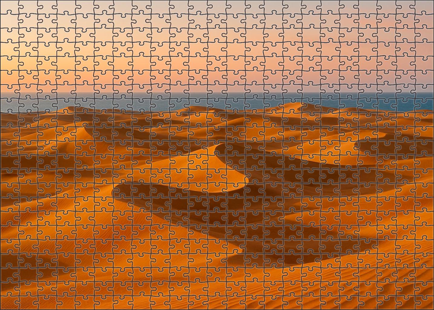 Golden Drift Dunes 20 Piece Puzzle