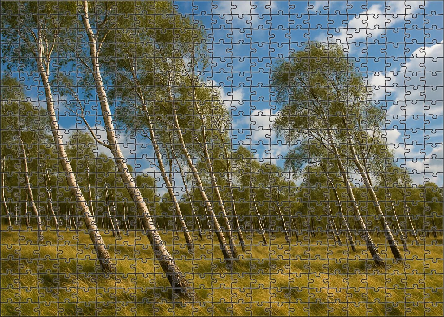Wind-swept Birch Expanse Custom Jigsaw Puzzle
