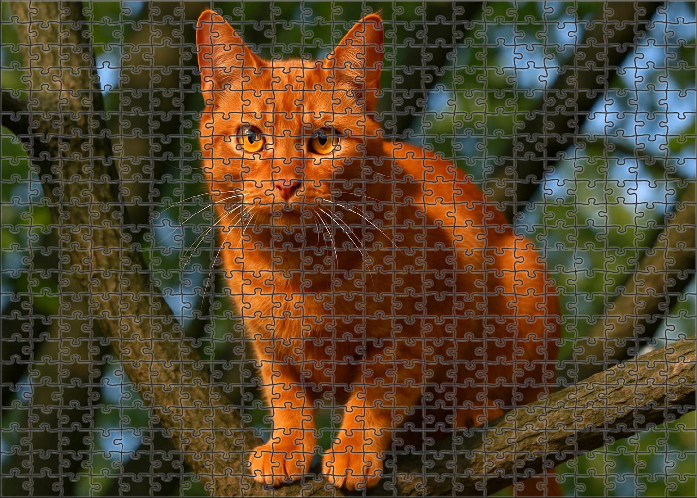 Copper Ember 200 Piece Puzzle