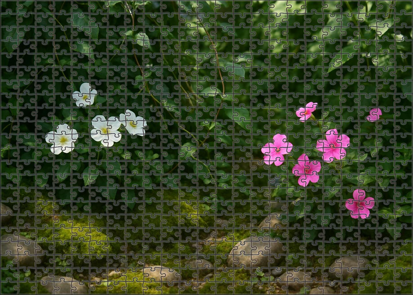 Woodland Fairy Garden Corner Family Puzzles