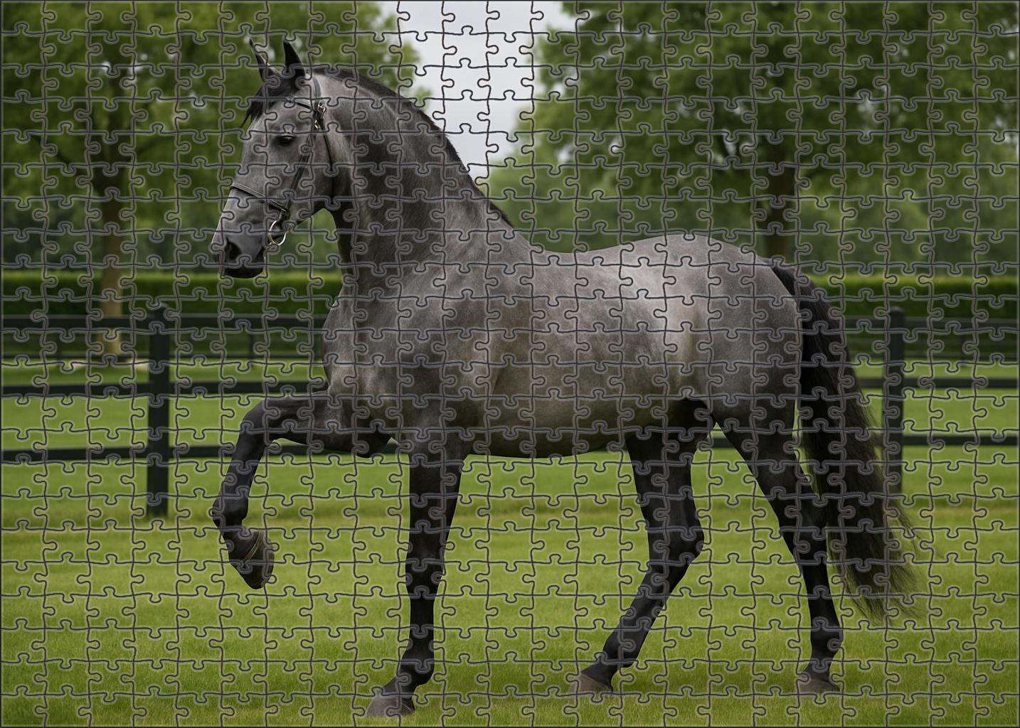 Silver Crest Noble Steel Gray Warmblood With Poised Strength Puzzle For Kids