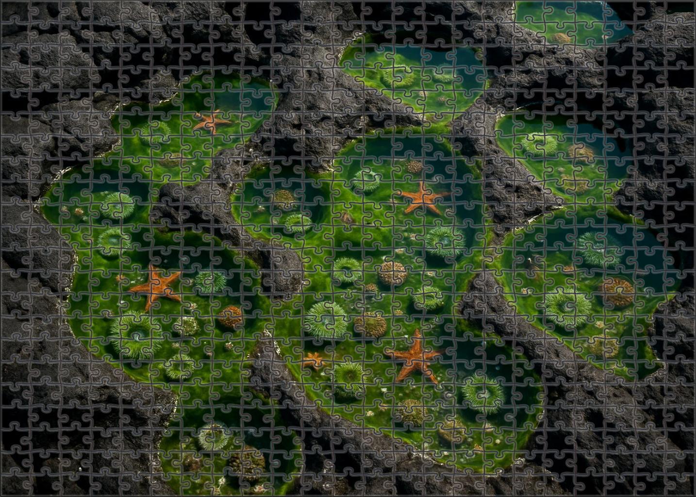 Emerald Tide Pools 1000 Piece Puzzle