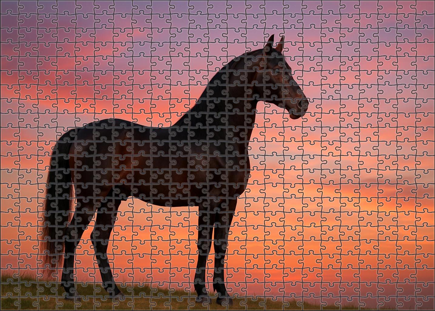 Dusky Twilight Walker Quiet Bay Morgan With Smooth Gait 200 Piece Puzzle