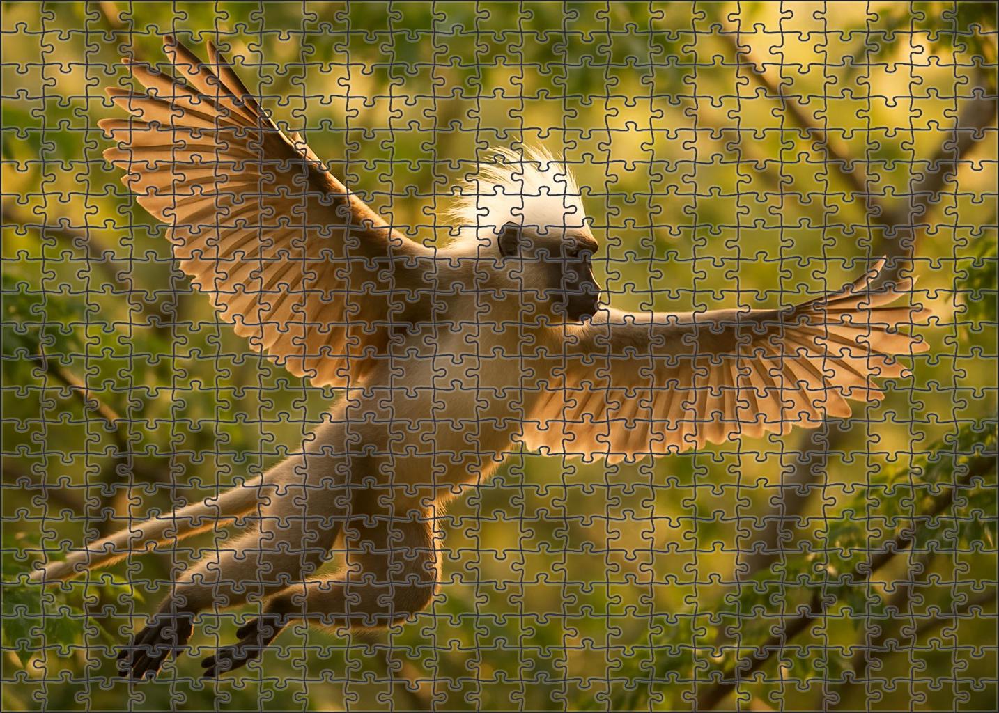 Ivory Crested Glider Majestic Arboreal Mammal 50 Piece Puzzle