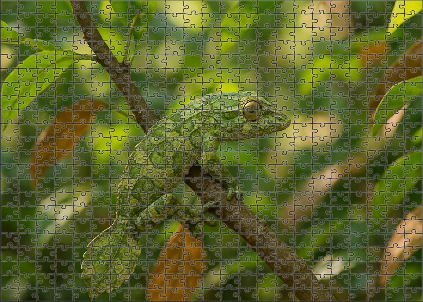 Verdant Leaf Mimic Master Of Disguise 50 Piece Puzzle