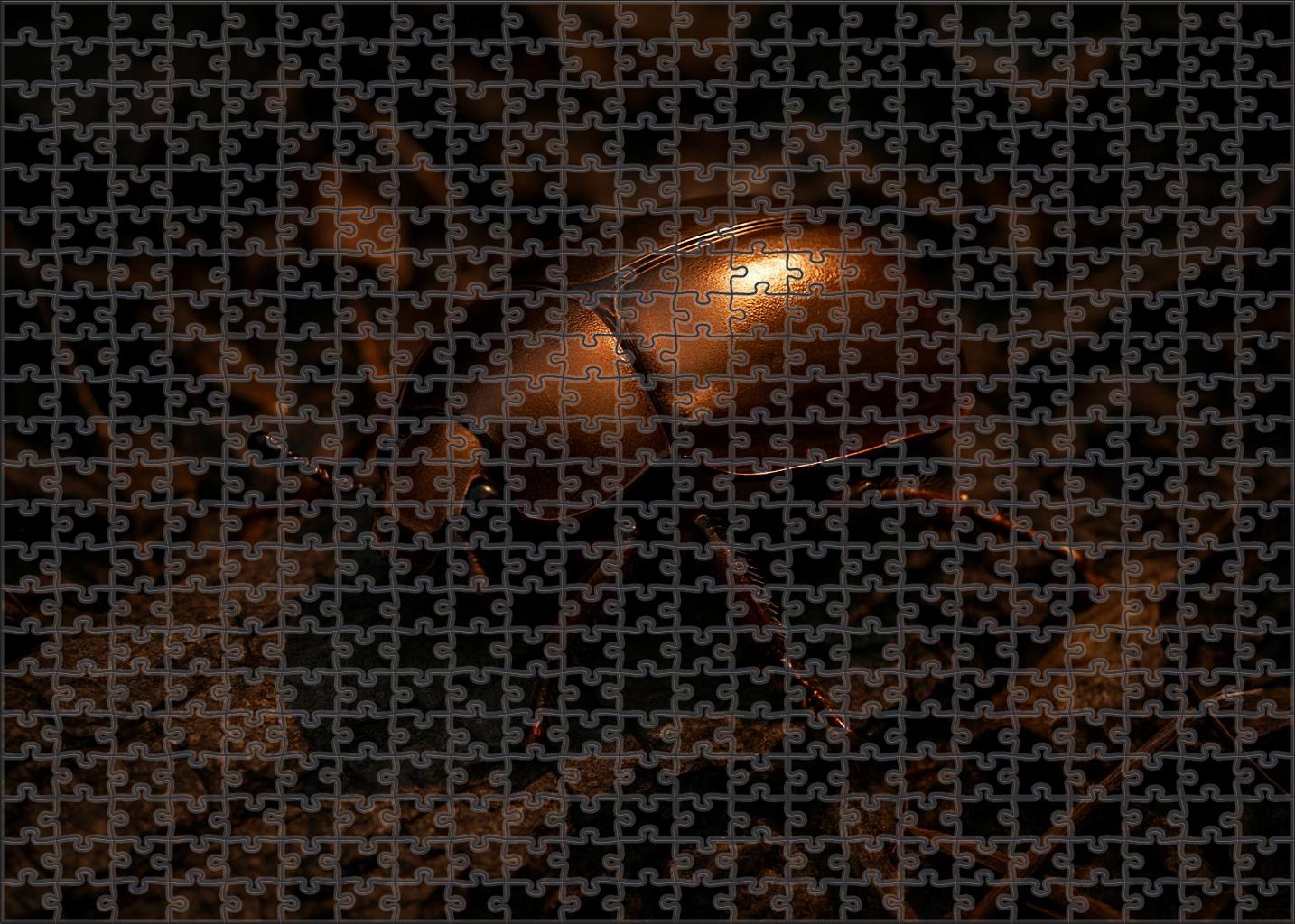 Burnished Ironclad Beetle Armored Insect With Metallic Bronze Shell Puzzle Fun