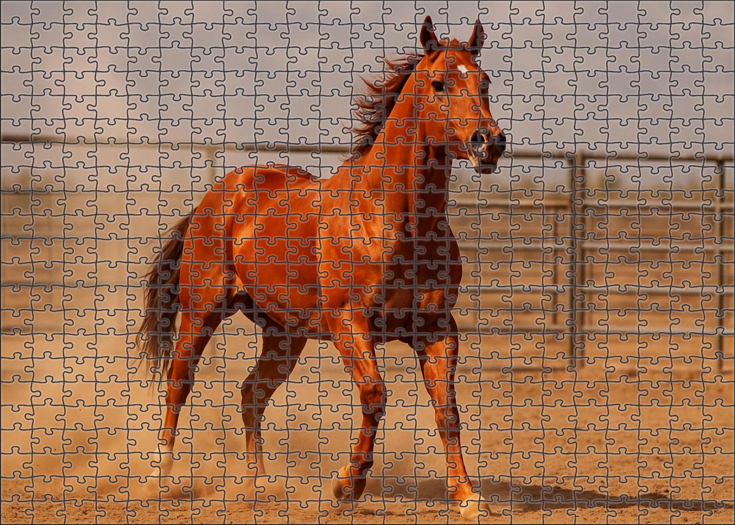 Crimson Flame Fiery Sorrel Quarter Horse Mare Challenging Puzzles