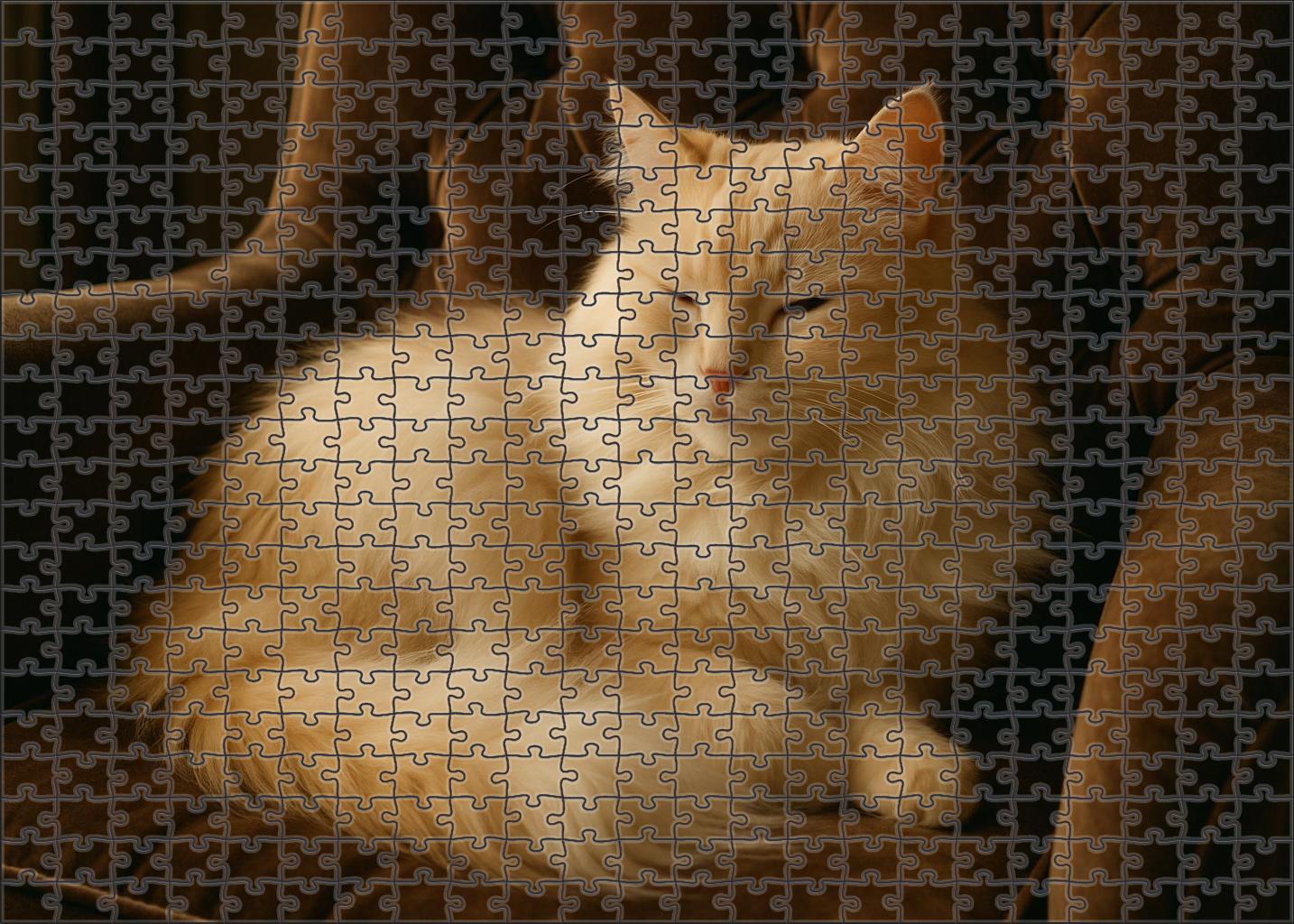 Ivory Cascade Longhaired Cream-colored Cat With Serene Disposition 200 Piece Puzzle