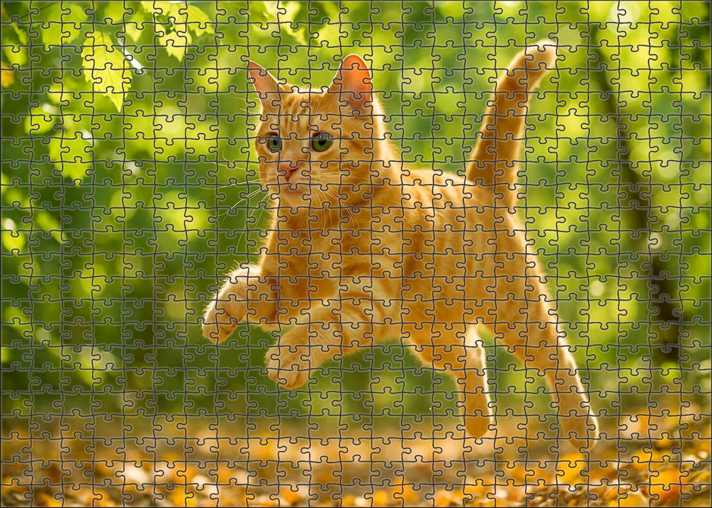 Golden Saffron 200 Piece Puzzle