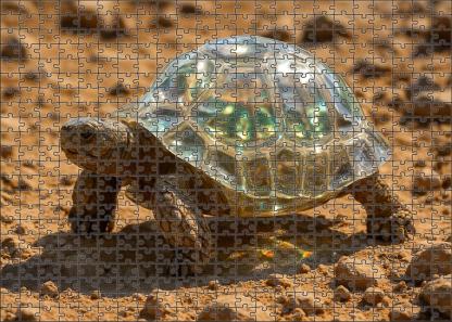Quartzback Tortoise Hardy Reptile With Translucent Carapace Large Format Puzzle