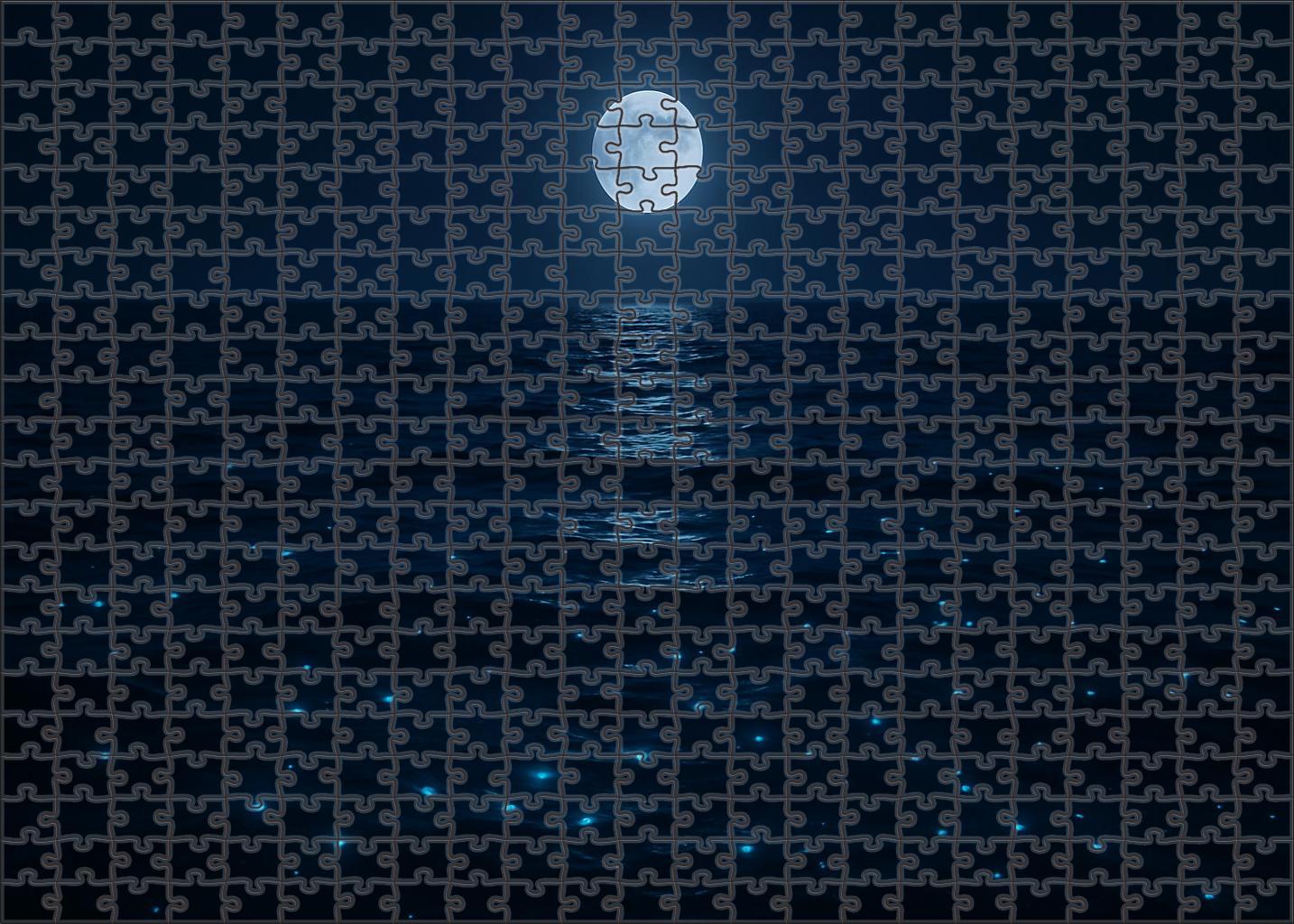 Moonlit Surface Drift Custom Jigsaw Puzzle
