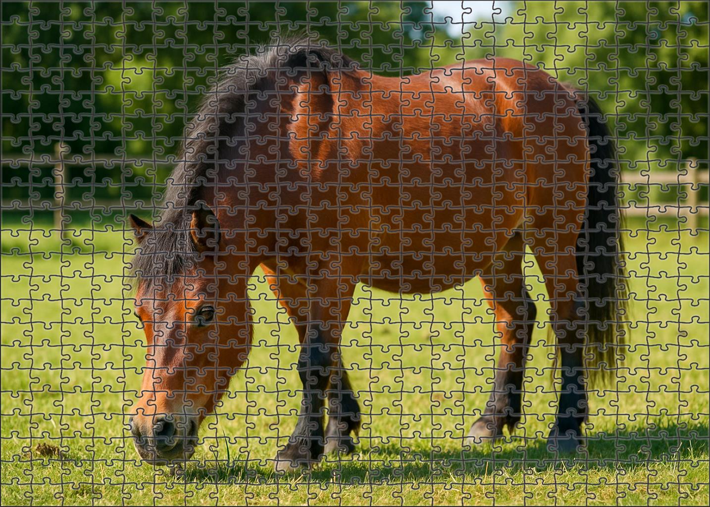 Hazel Breeze Gentle Bay Pony With Cheerful Disposition Custom Jigsaw Puzzle