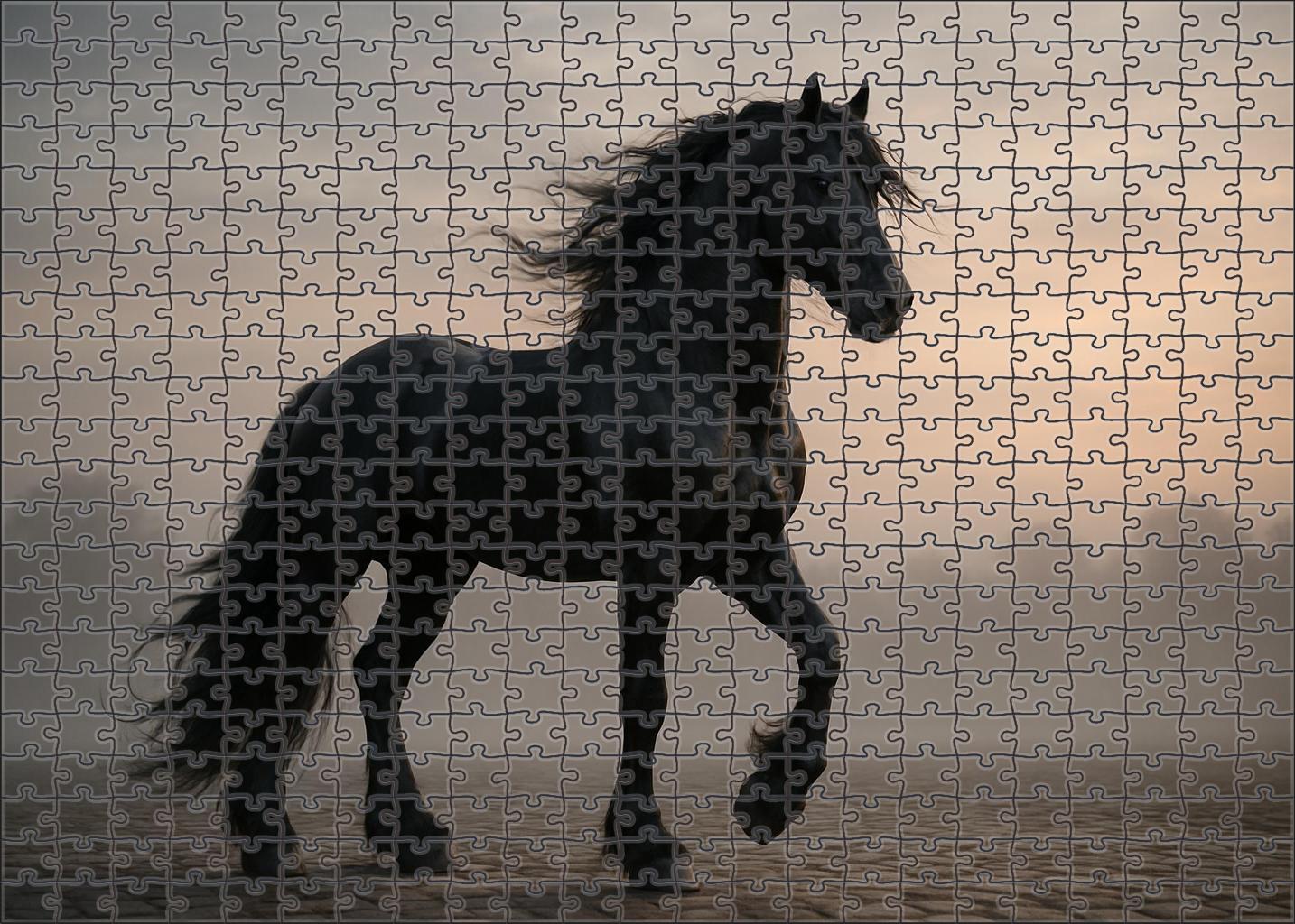 Velvet Night Friesian Stallion 1000 Piece Puzzle