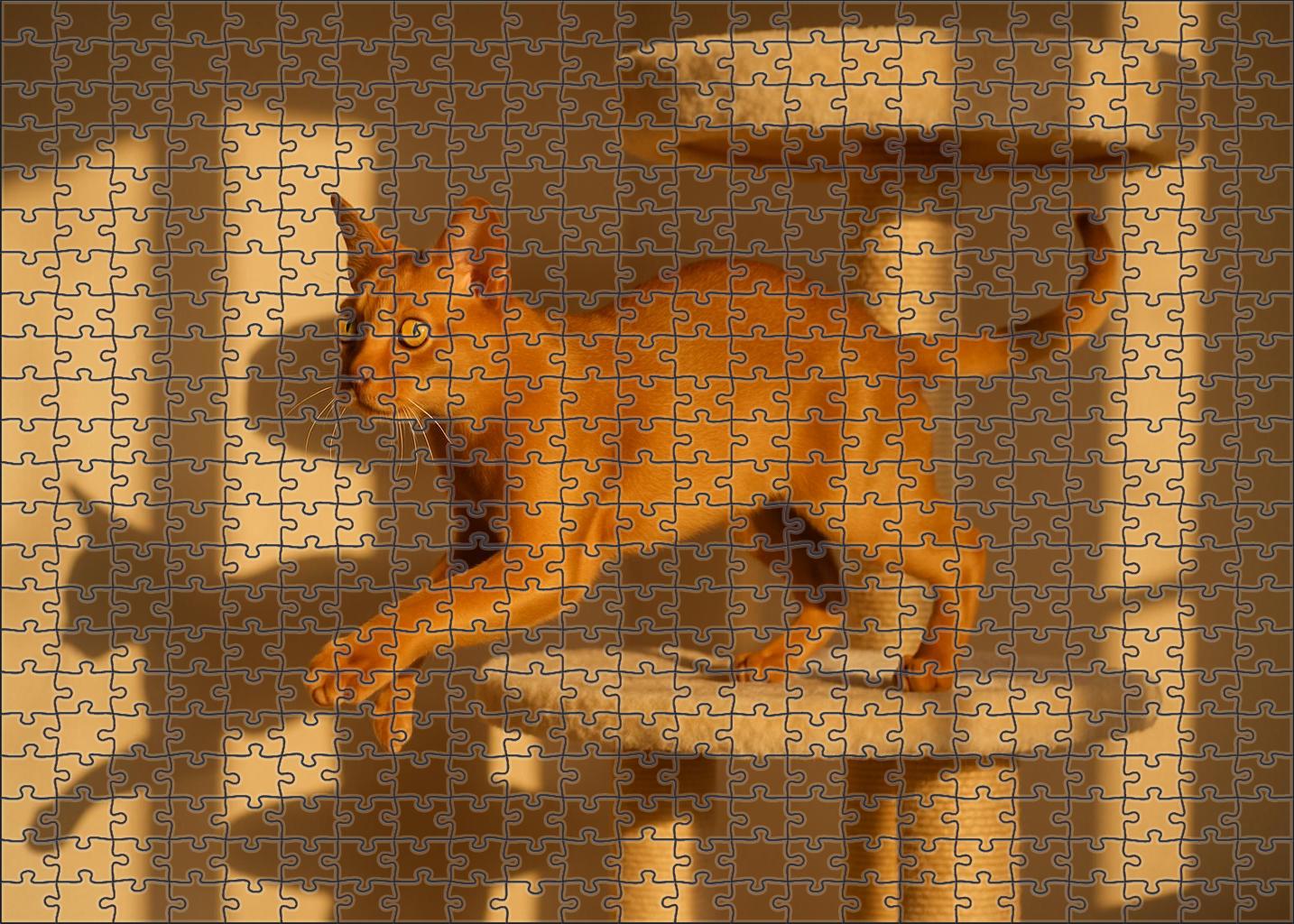Golden Ripple Smooth Coated Cat With Luminous Yellow Eyes 20 Piece Puzzle