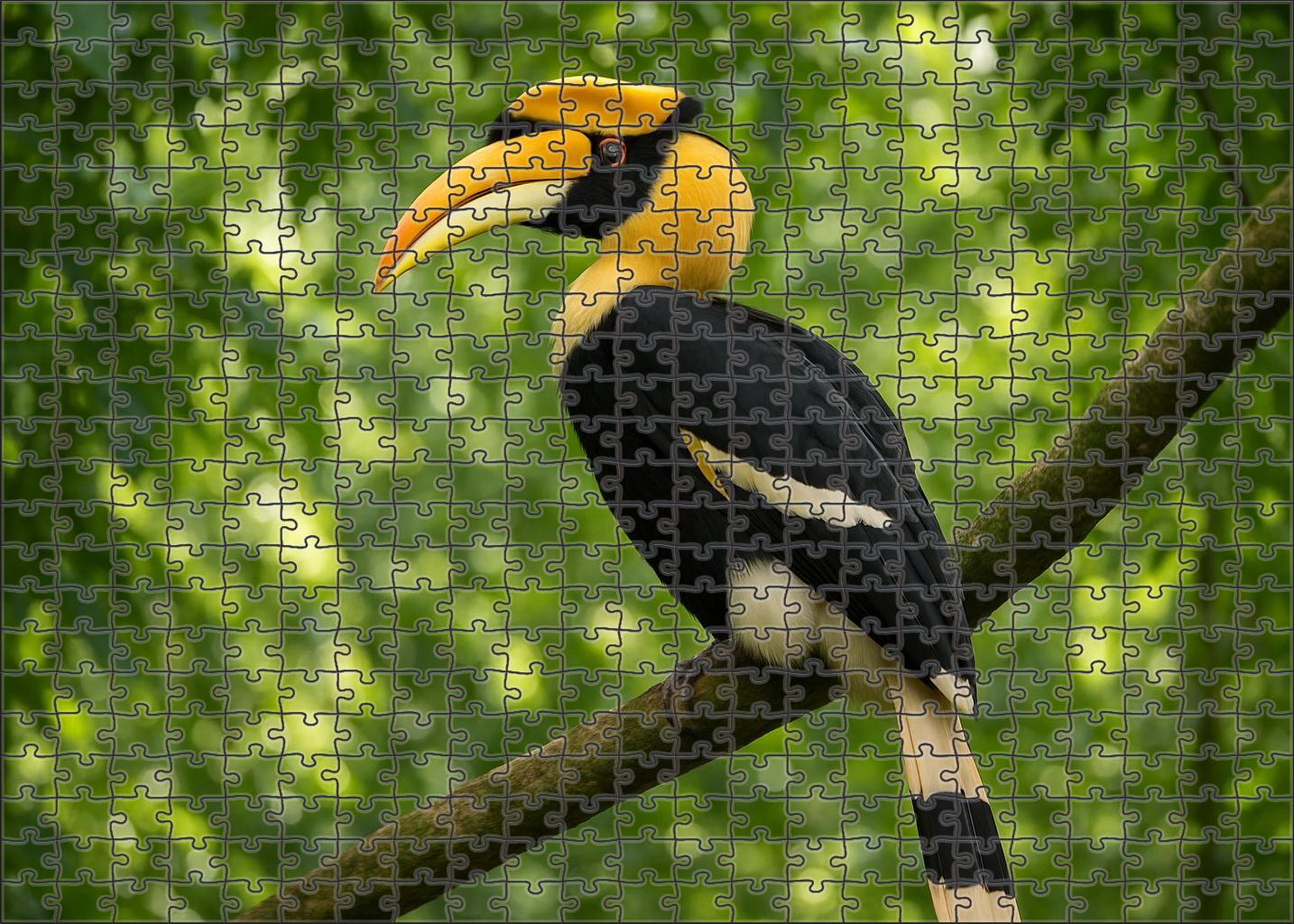 Great Hornbill The Forests Regal Herald Puzzle Challenge